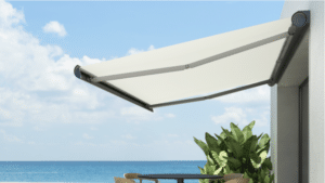 Screen Shot 2022-02-17 at 3.41.54 PM